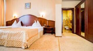 Отель Hotel Imperial Inn Тыргу-Муреш Двухместный номер Делюкс с 1 кроватью-4